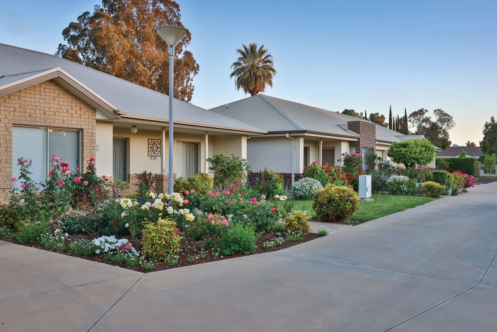 A tree-lined street of villas with flowering gardens at Princes Court Village